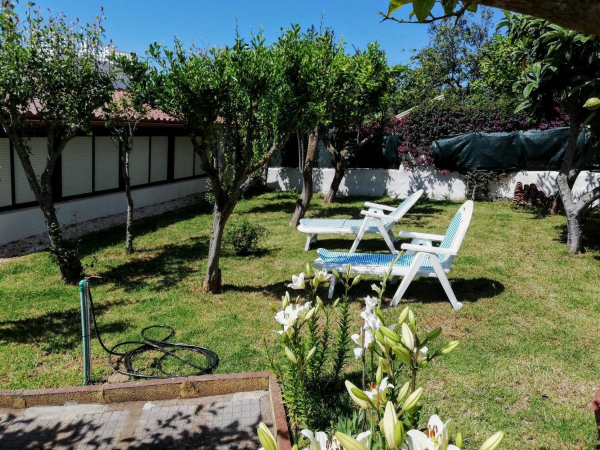 Casa Rural Limón Y Sol El El Sauzal Exterior foto